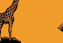 minimalistic giraffes 1920x1080 wallpaper Art HD Wallpaper
